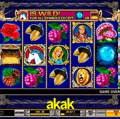 akak Rio de Janeiro - Bonus Terms